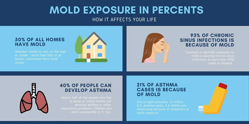 mold exposure chart