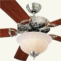 ceiling fan and light
