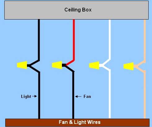 Wiring Diagram For Ceiling Fan &amp; Light, Power Enters From Switch Box ...