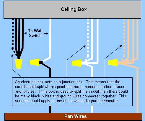 Ceiling  Wiring on Ceiling Fan Wiring Diagram 5