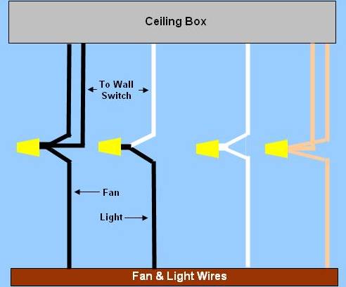 Ceiling  Wiring on Ceiling Fan Wiring   Circuit Style 9