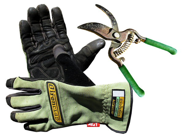 garden gloves and a pear of pruning shears