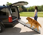 manufactured dog ramps
