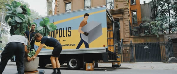 3 men moving a large plant with a moving truck in background
