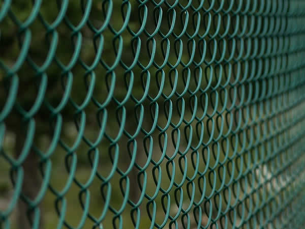 green metal wire mesh fence