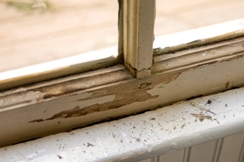 Flaking paint from a water damaged window frame