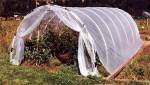 PVC pipe to form a hoop this greenhouse plans