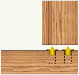 Dowel transfer plugs positioned in wood pieces