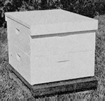 Bee Hive Frame Plans