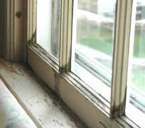 Rotting window and window frame sill