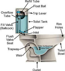 Sewer Gas Smell In Your Home