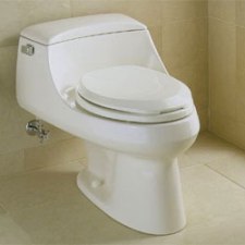 one piece toilet - integral tank and bowl