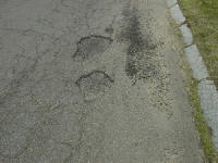 Cracks & potholes in asphalt driveway