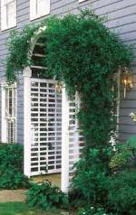 How To Make A Garden Arbor 17 Free Plans Plans 9 To 16