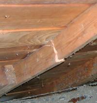 damaged roof rafter