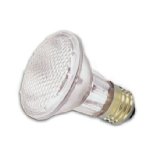 Typical halogen light bulb