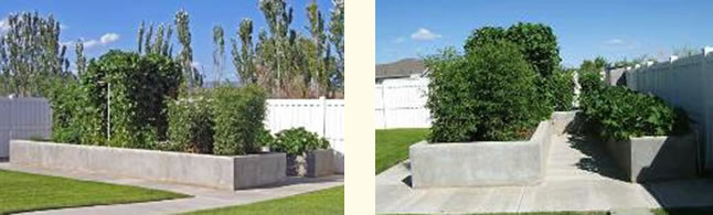 large raised beds using concrete walls