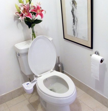 toilet seat bidet