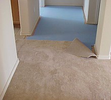 removing wall to wall carpeting and underpad