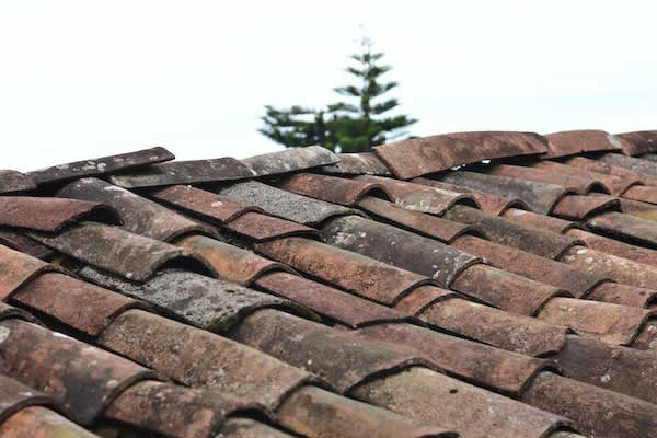 old clay tile roof