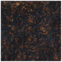 Chestnut granite floor tile for bathroom or kitchen