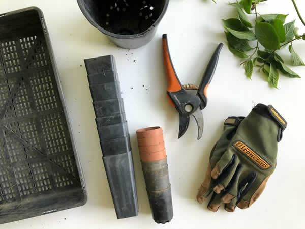 garden items including garden gloves, flower pots, tray and shears
