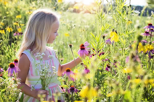 little girl in field of wild flowers