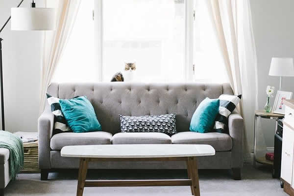 a furnished living room