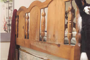 mold growing on a wooden headboard
