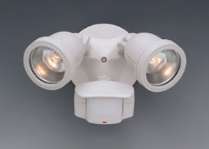 motion detector with flood lights
