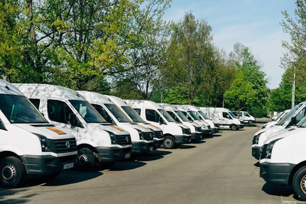 2 rows of white vans