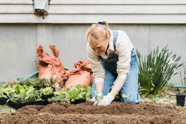 woman on knees working in vegetable garden