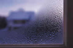 condensation on the inside of a windowpane