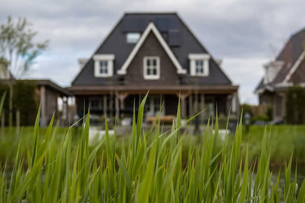 brown house as seen through tall grass