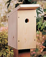 beginners birdhouse plans