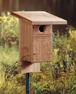 bluebird birdhouse plans
