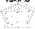 flycatcher birdhouse plans