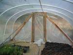 economical greenhouse plans
