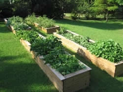 These raised garden bed provide access from both sides, however there should be a walkway made of firm material around both sides of the beds.
