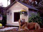 dog house with asphalt shingles