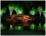 Landscape up lighting highlighting trees