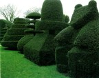 Topiary tree pruning
