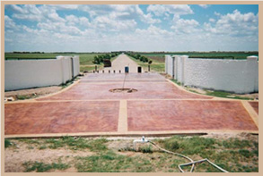 concrete driveway after staining