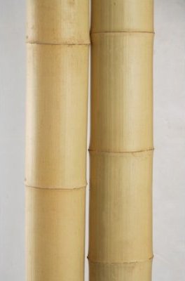 bamboo fence posts