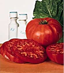 beefsteak tomatoes