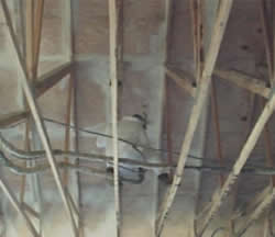 hurricane roof adhesive