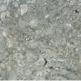 limestone tile benjamin grey