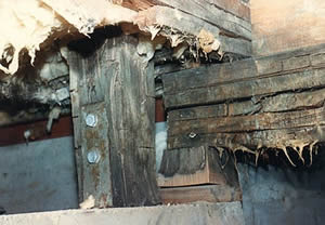 damaged support column and foundation walls