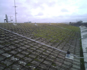 Moss on roof and in gutter