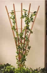 trellis - free plans, drawings & instructions